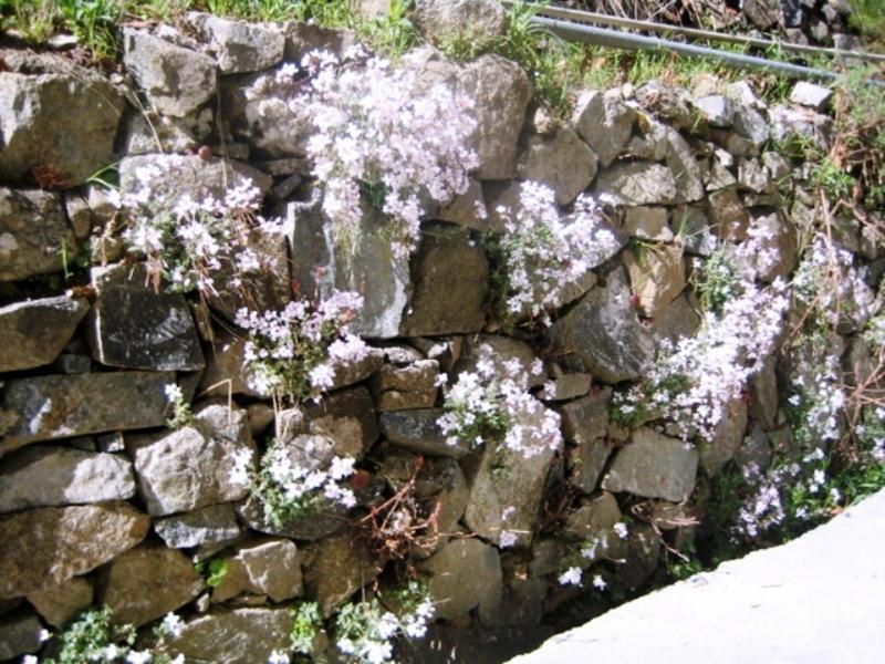 Вілла Flora'S House Spilia Екстер'єр фото